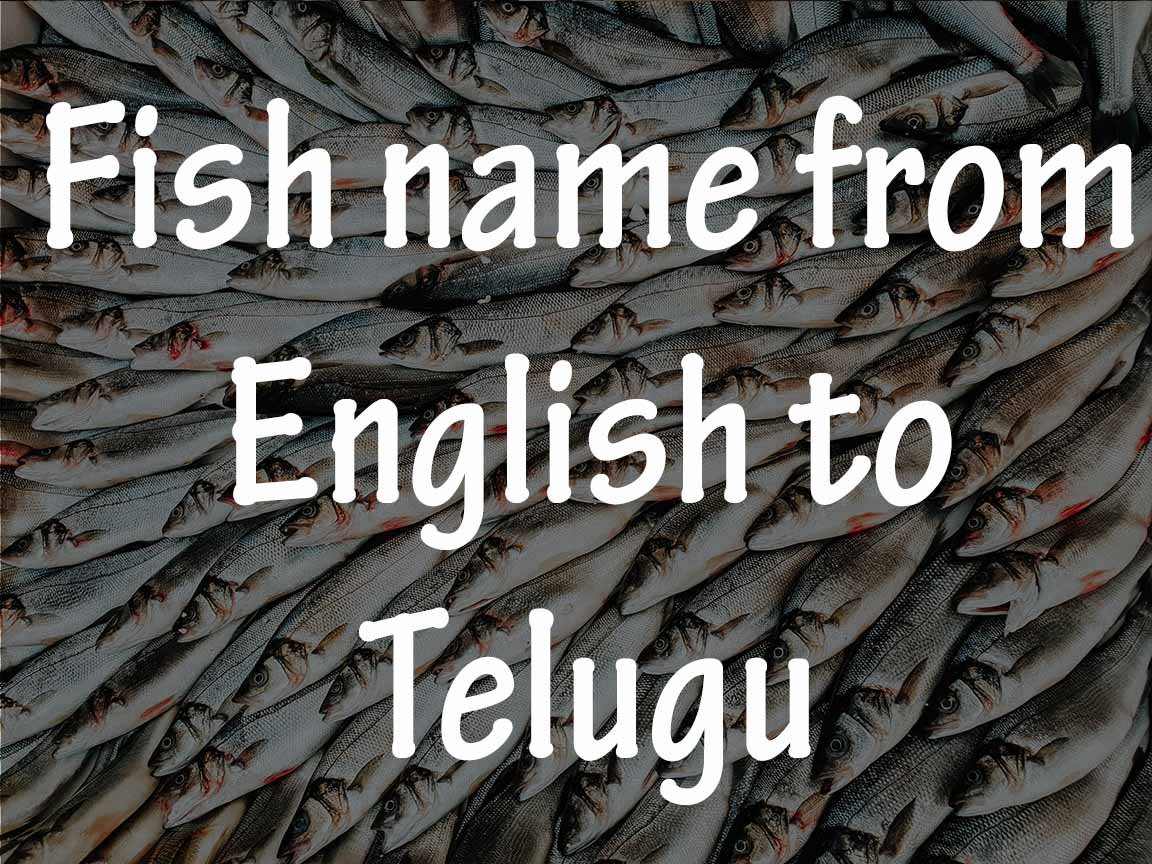 Fish name from English to Telugu